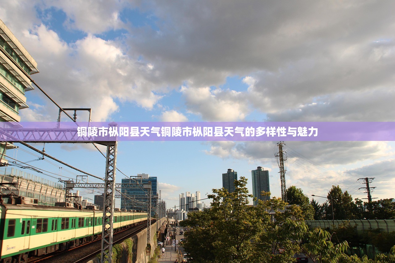 铜陵市枞阳县天气铜陵市枞阳县天气的多样性与魅力  第1张