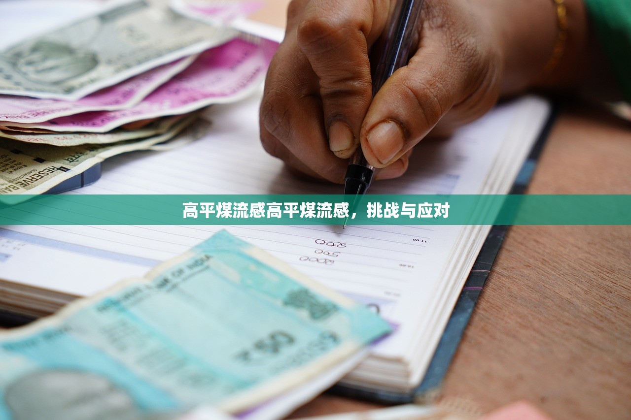 高平煤流感高平煤流感，挑战与应对  第1张