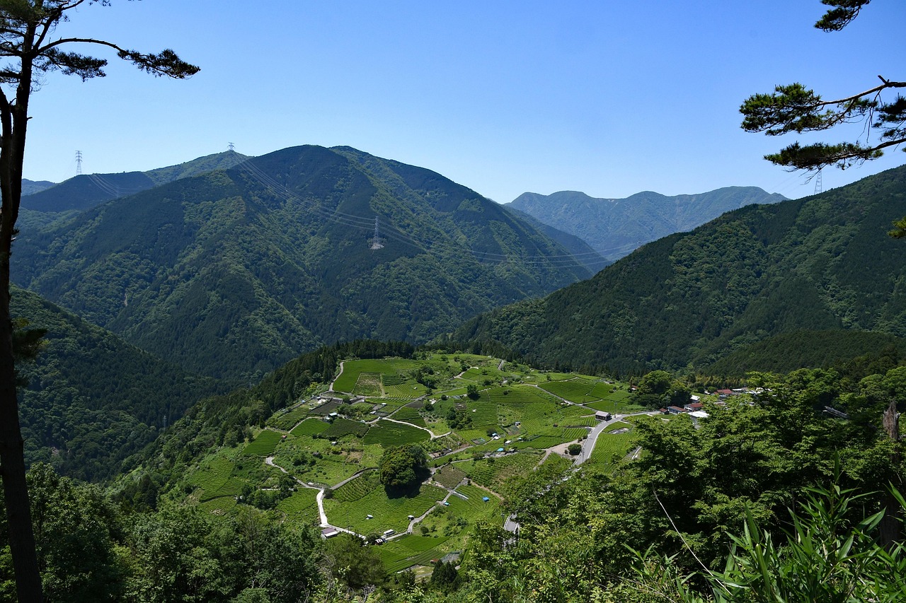 韶关市翁源县天气韶关市翁源县天气，四季变换与气象特点  第2张