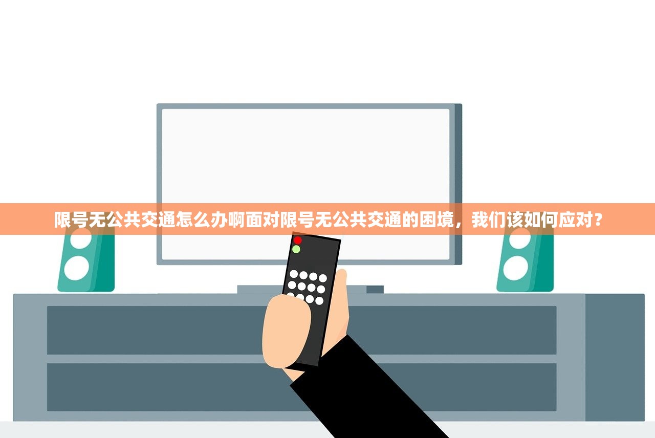 限号无公共交通怎么办啊面对限号无公共交通的困境，我们该如何应对？  第1张