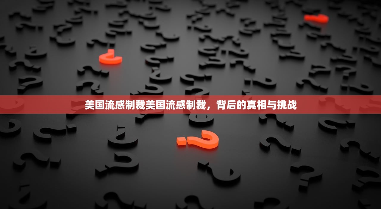 美国流感制裁美国流感制裁，背后的真相与挑战  第1张