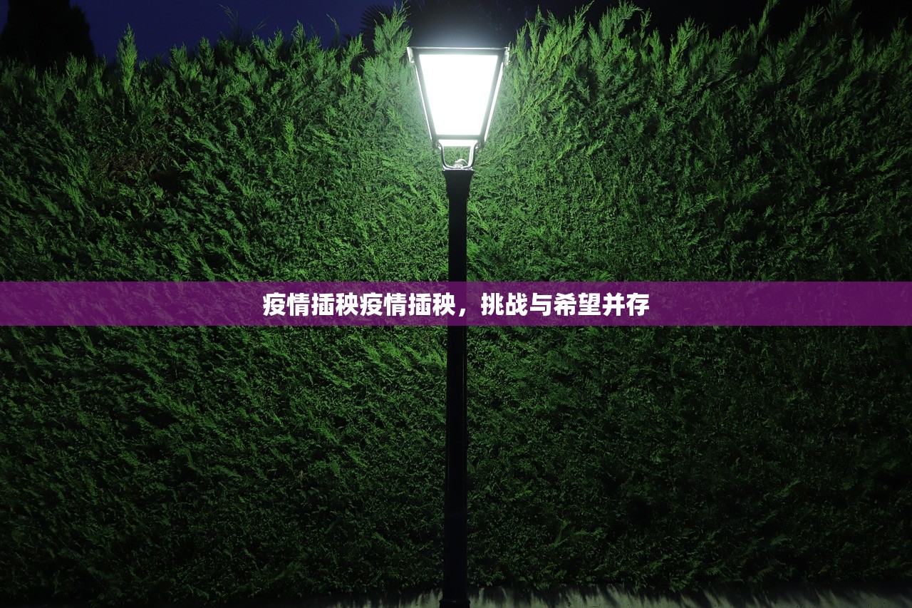 疫情插秧疫情插秧,挑战与希望并存 第1张 疫情插秧疫情插秧,挑战与希望并存 第1张