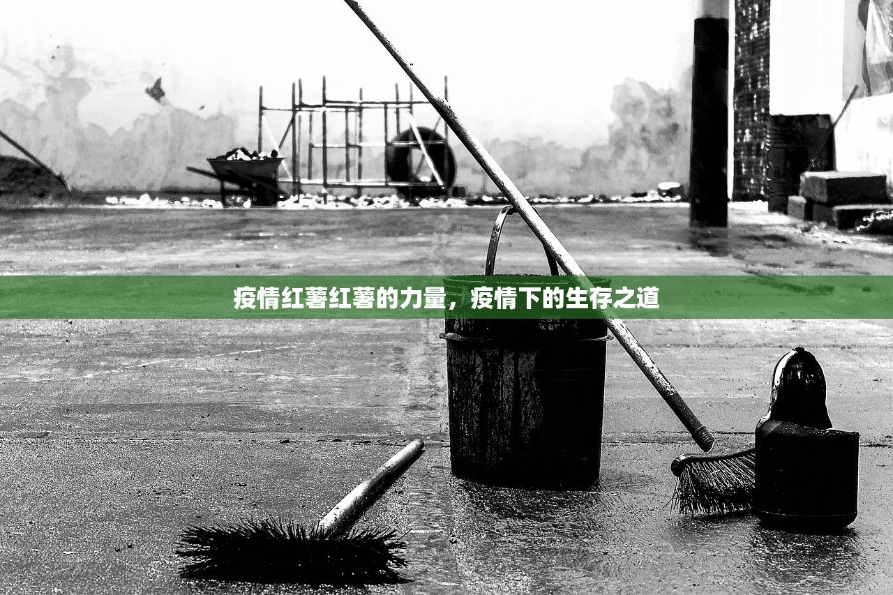 疫情红薯红薯的力量，疫情下的生存之道  第1张