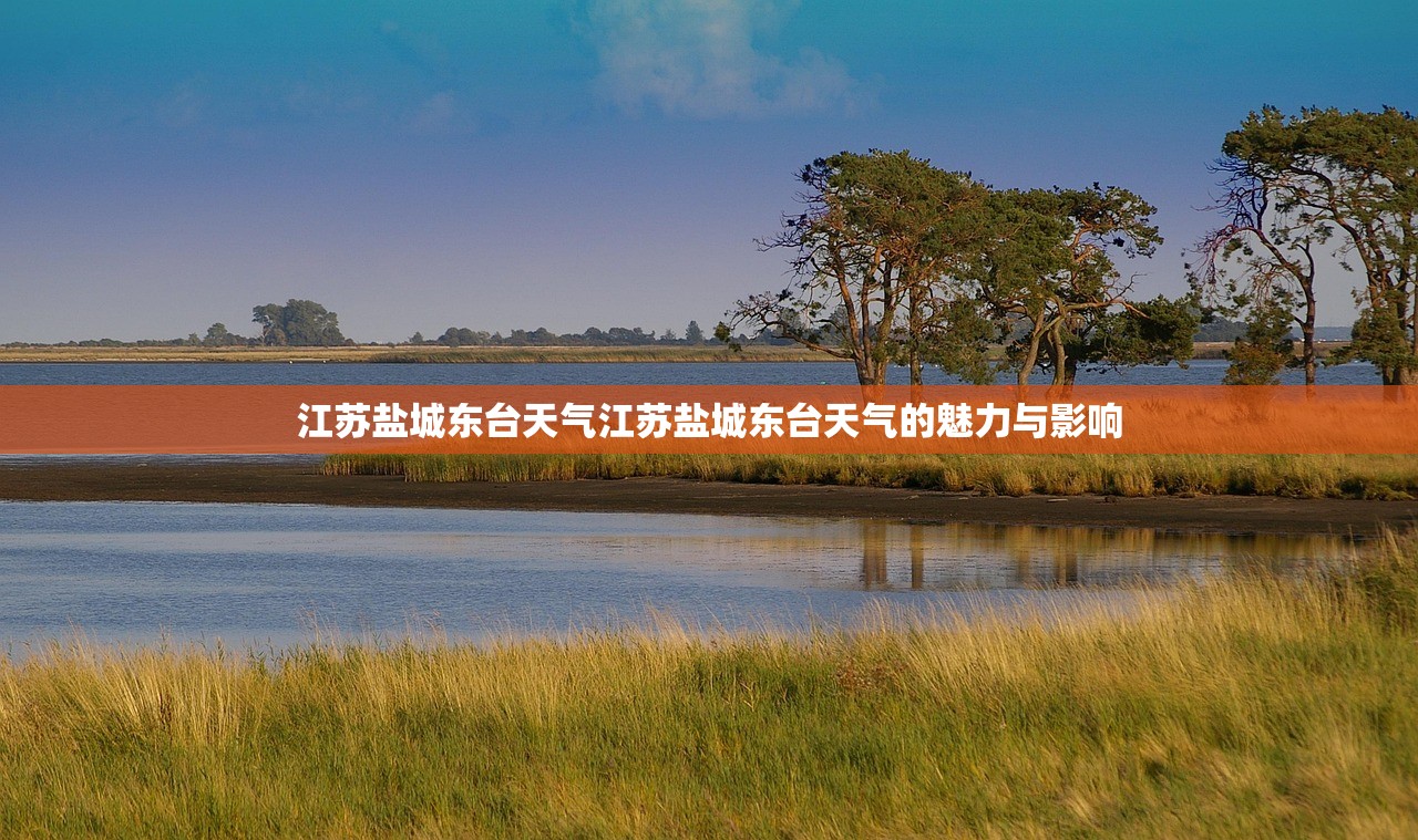 江苏盐城东台天气江苏盐城东台天气的魅力与影响  第1张