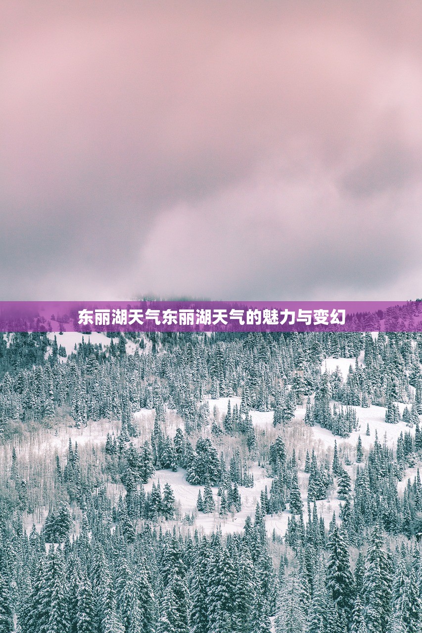 东丽湖天气东丽湖天气的魅力与变幻  第1张