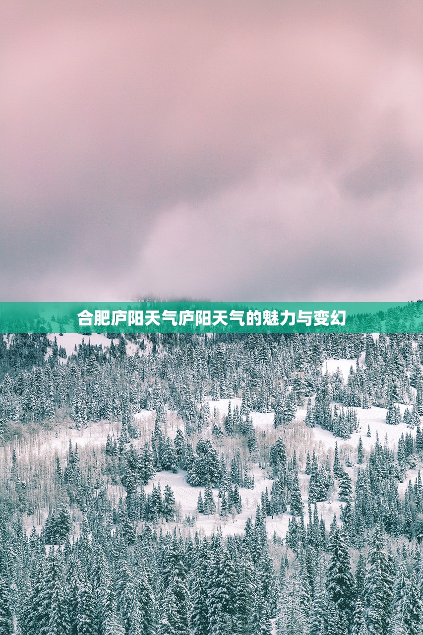 合肥庐阳天气庐阳天气的魅力与变幻  第1张