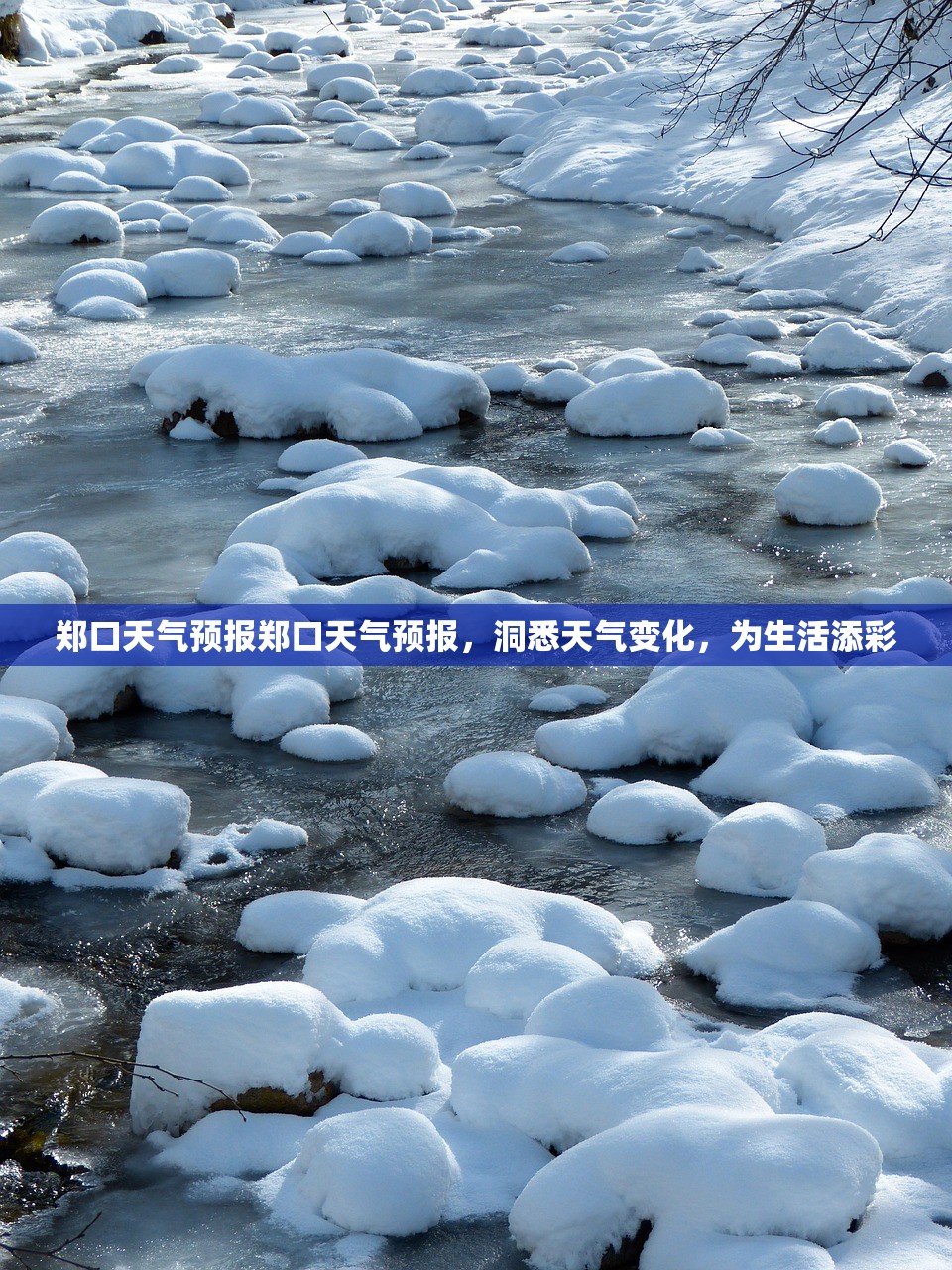 郑口天气预报郑口天气预报，洞悉天气变化，为生活添彩  第1张