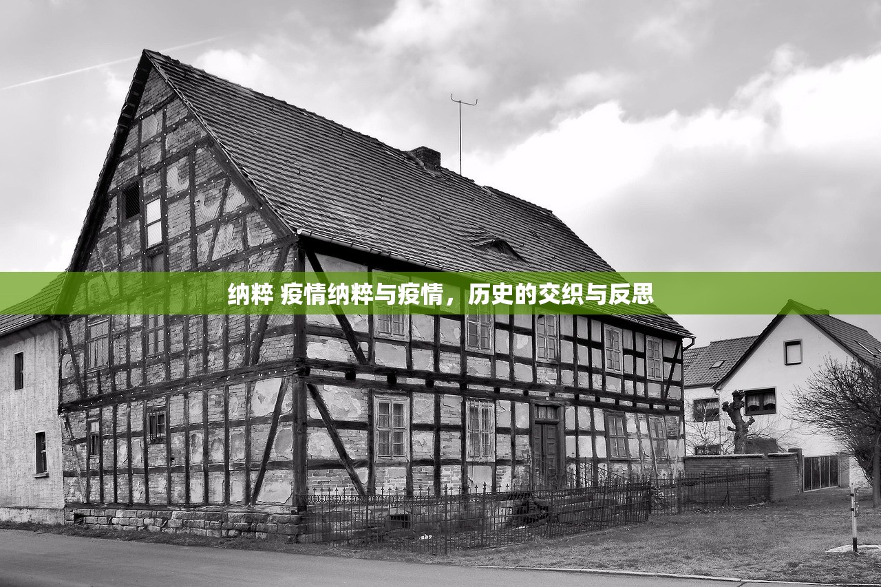 纳粹 疫情纳粹与疫情，历史的交织与反思  第1张