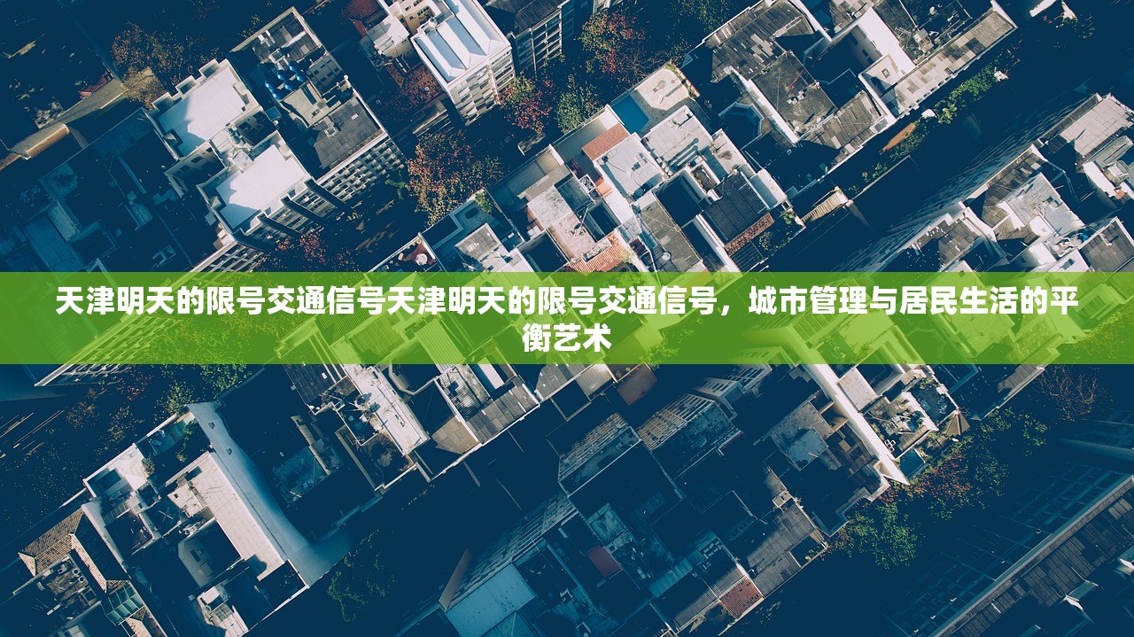 天津明天的限号交通信号天津明天的限号交通信号，城市管理与居民生活的平衡艺术  第1张