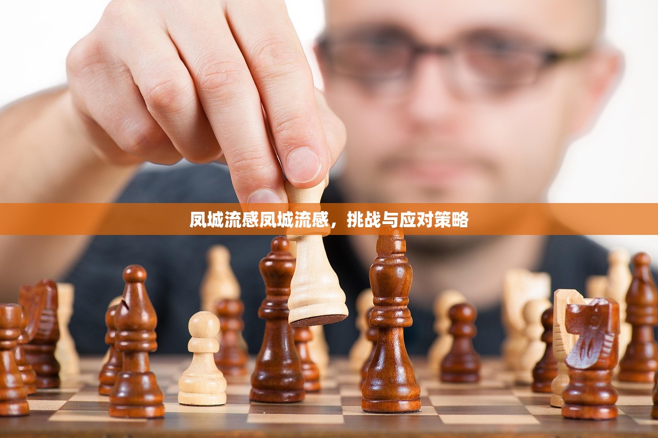 凤城流感凤城流感，挑战与应对策略  第1张