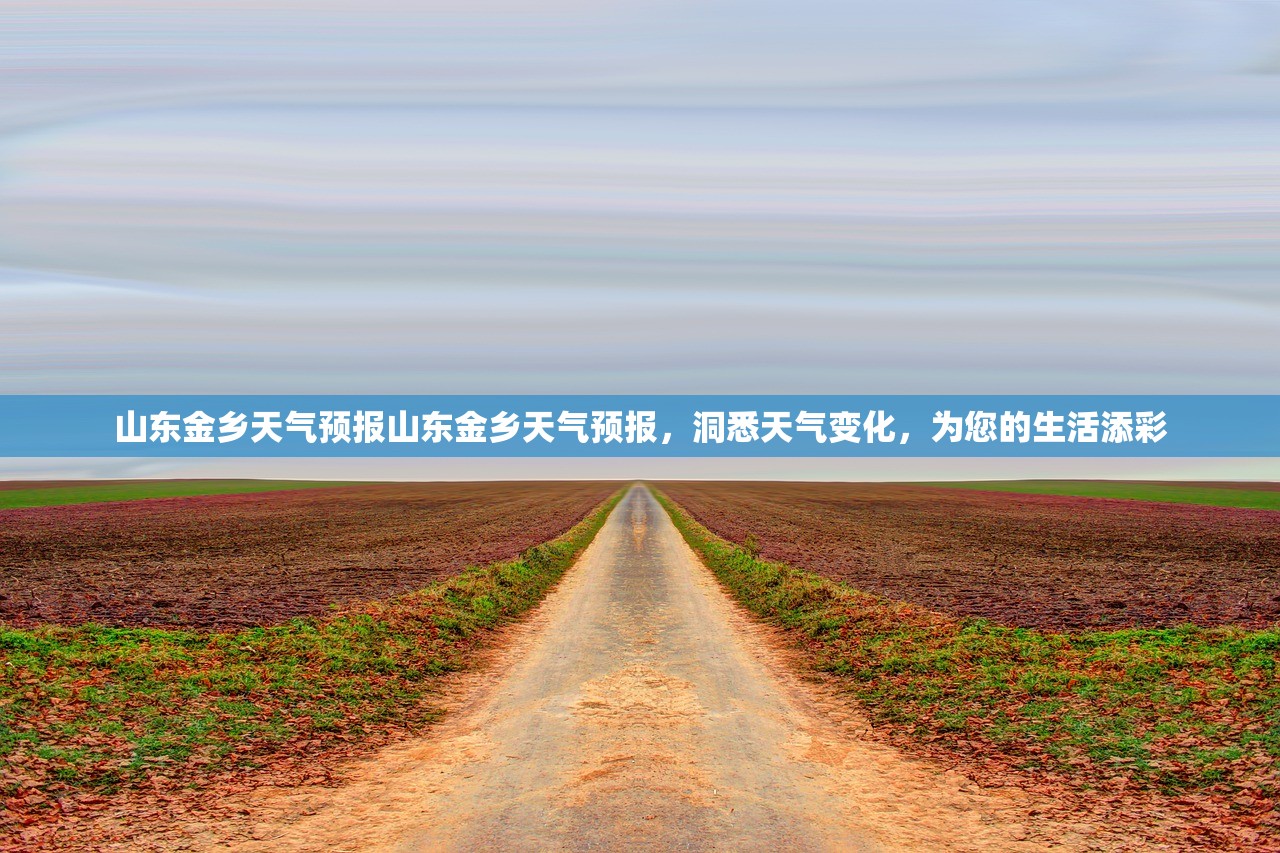 山东金乡天气预报山东金乡天气预报，洞悉天气变化，为您的生活添彩  第1张