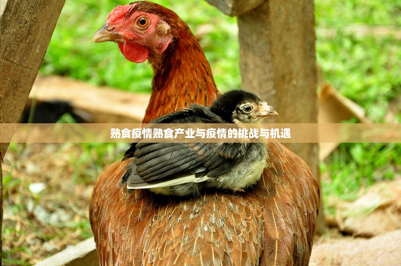 熟食疫情熟食产业与疫情的挑战与机遇  第1张