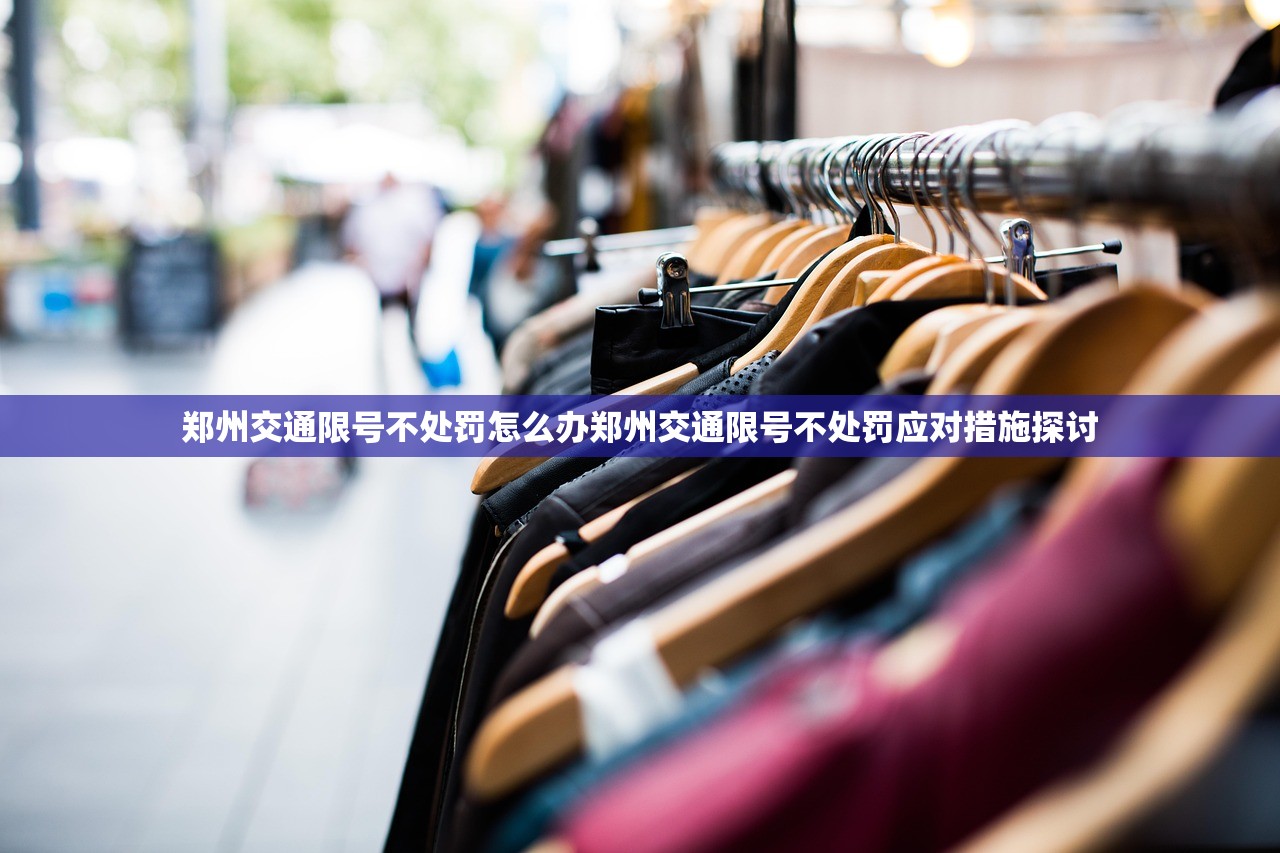 郑州交通限号不处罚怎么办郑州交通限号不处罚应对措施探讨  第1张