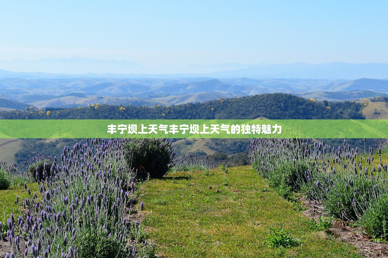 丰宁坝上天气丰宁坝上天气的独特魅力  第1张