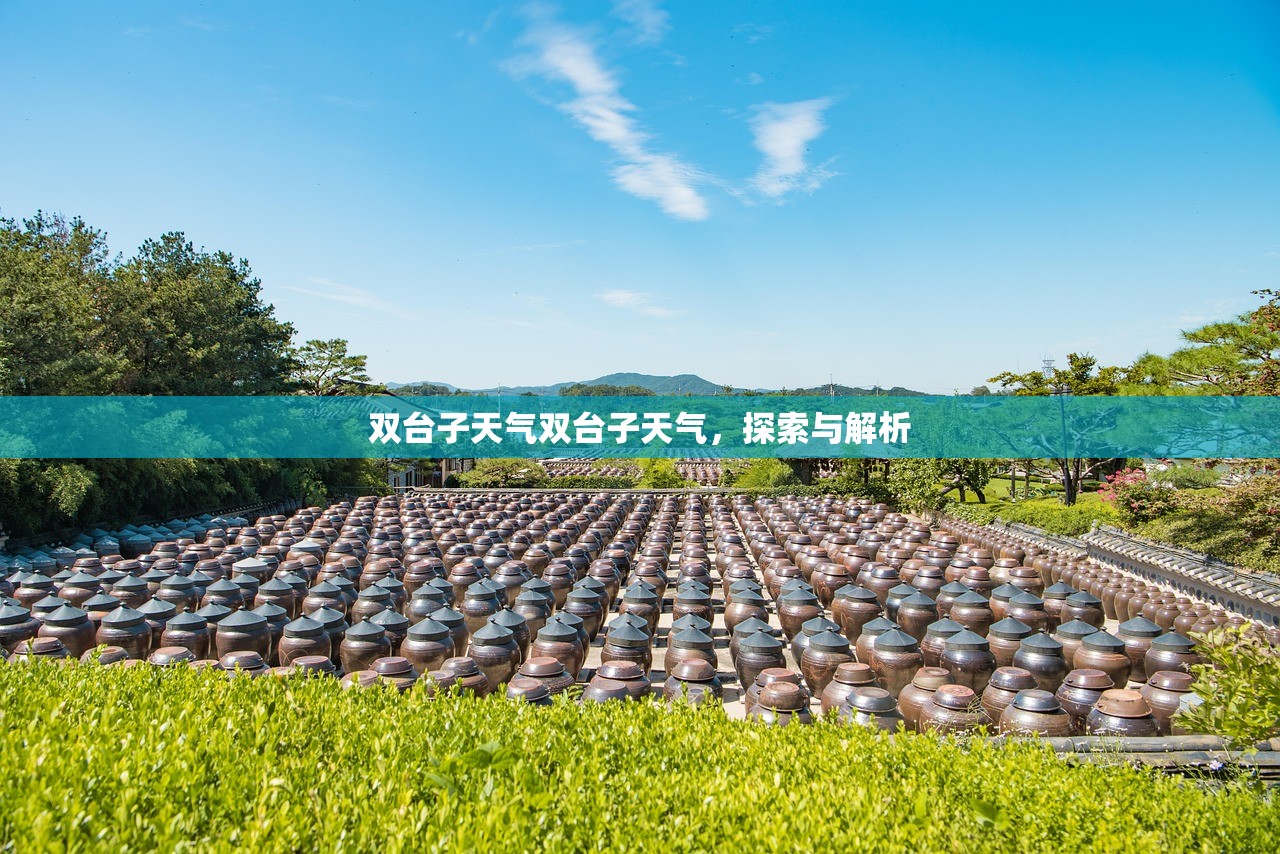 双台子天气双台子天气,探索与解析 第1张 双台子天气双台子天气,探索与解析 第1张