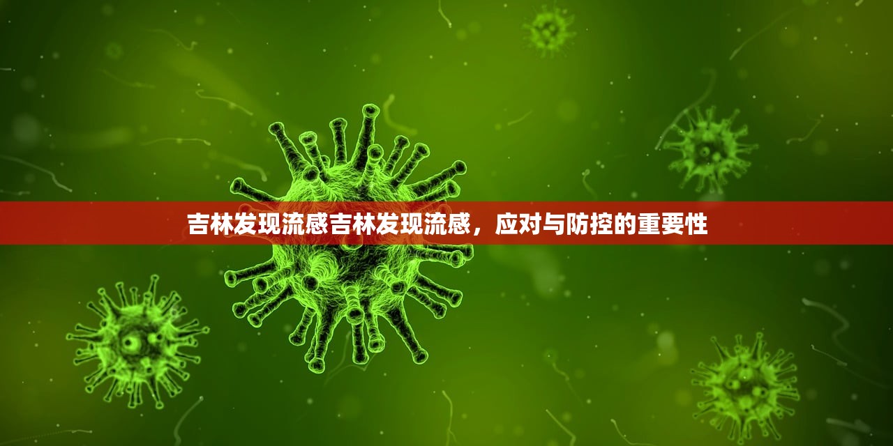 吉林发现流感吉林发现流感，应对与防控的重要性  第1张