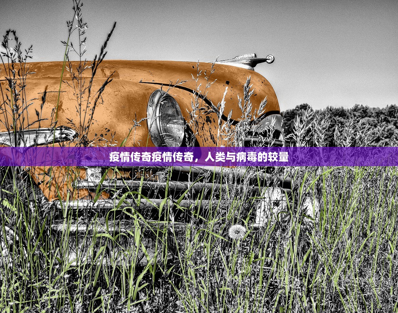 疫情传奇疫情传奇，人类与病毒的较量  第1张