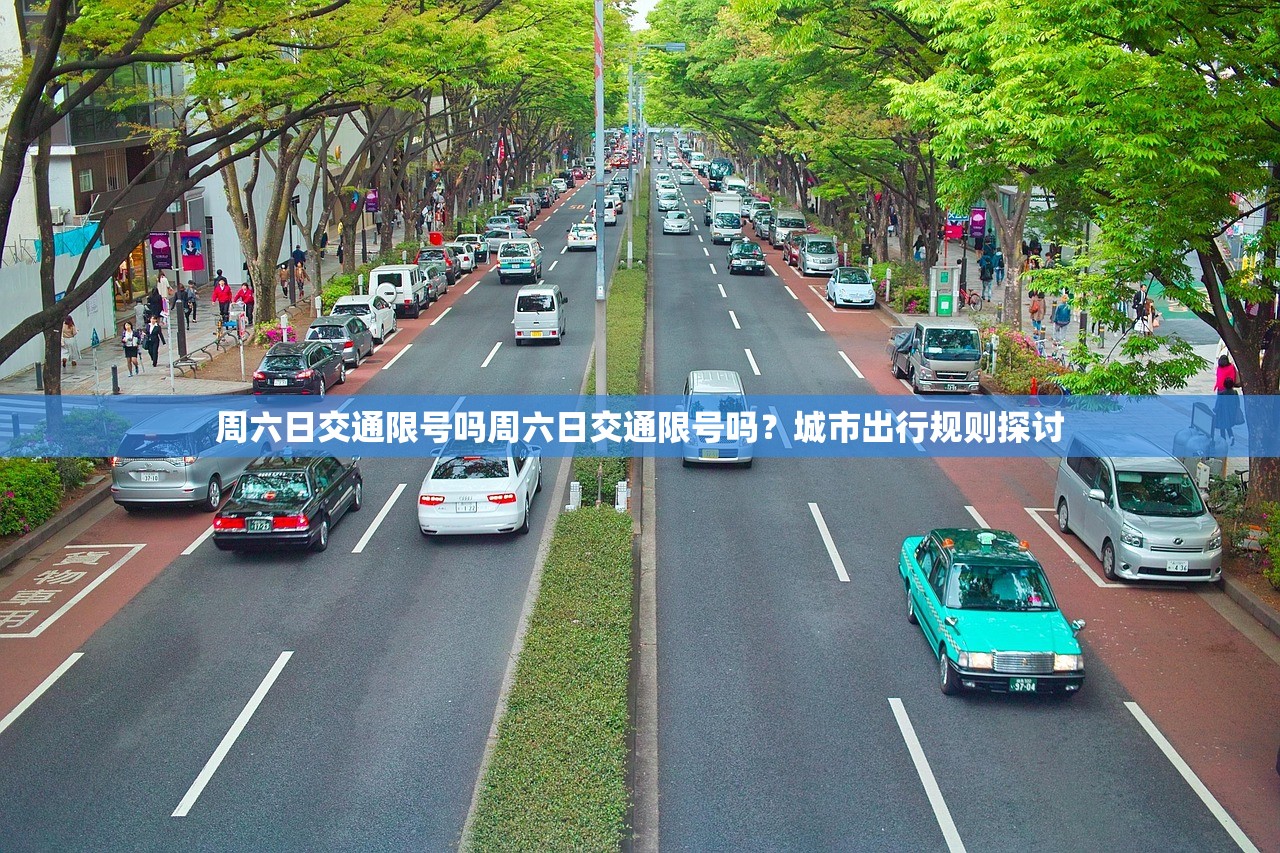 周六日交通限号吗周六日交通限号吗？城市出行规则探讨  第1张