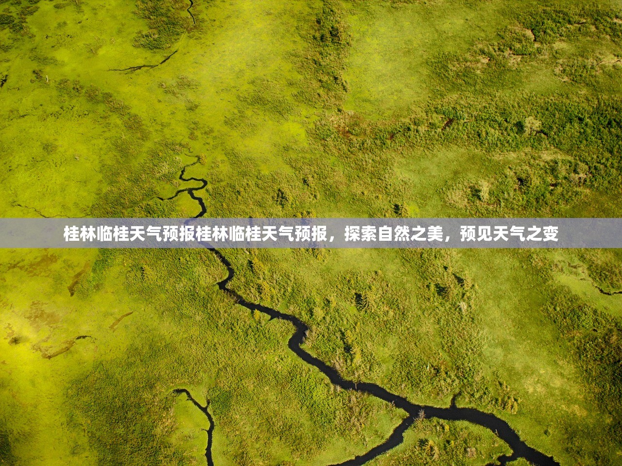 桂林临桂天气预报桂林临桂天气预报，探索自然之美，预见天气之变  第1张