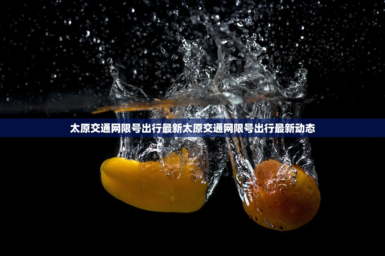 太原交通网限号出行最新太原交通网限号出行最新动态  第1张