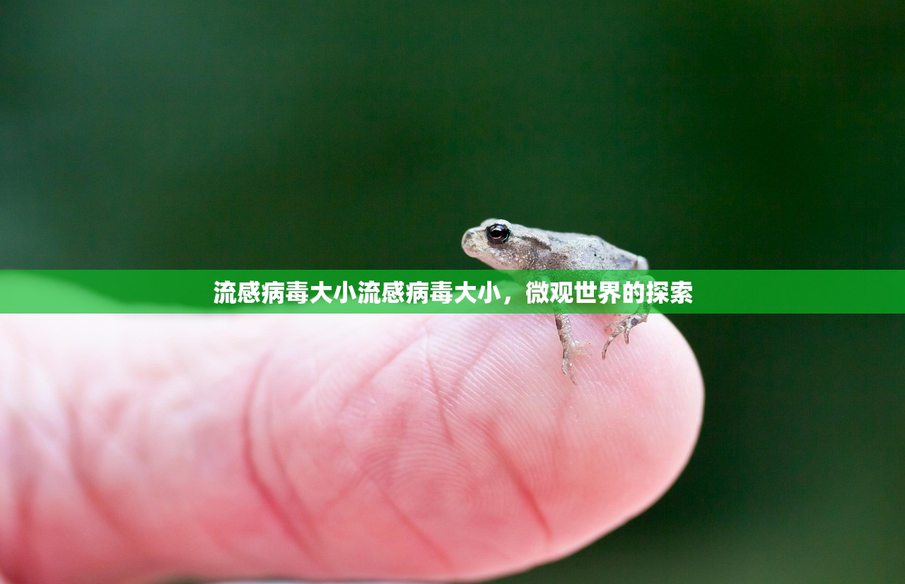 流感病毒大小流感病毒大小，微观世界的探索  第1张