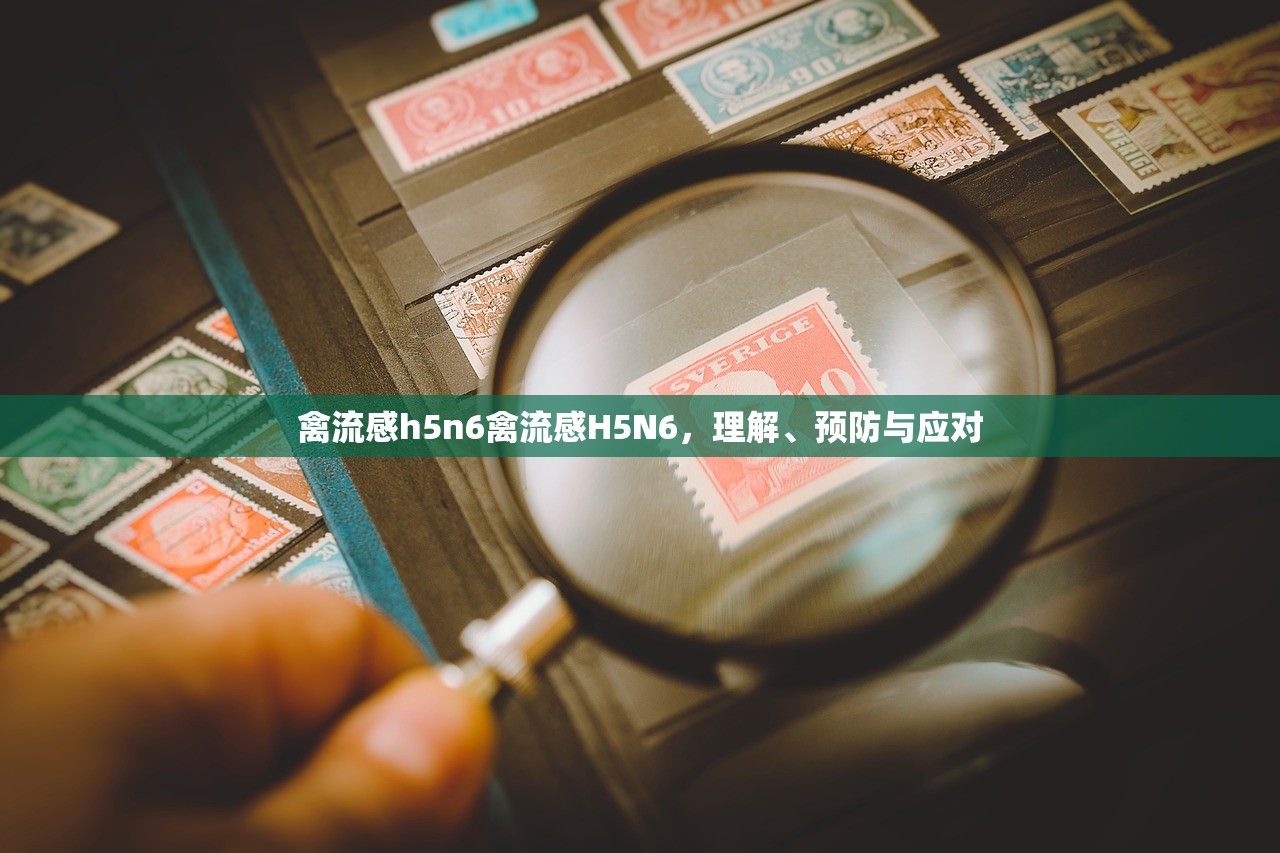 禽流感h5n6禽流感H5N6，理解、预防与应对  第1张