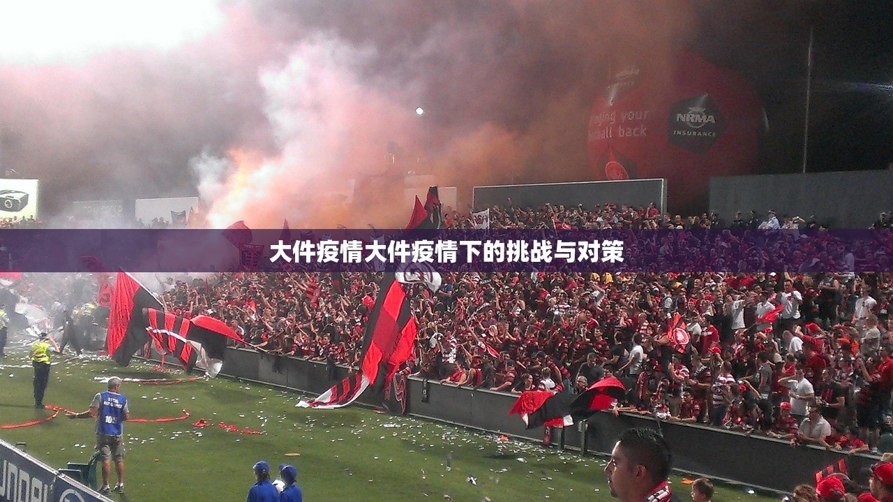 大件疫情大件疫情下的挑战与对策 第1张 大件疫情大件疫情下的挑战与对策 第1张
