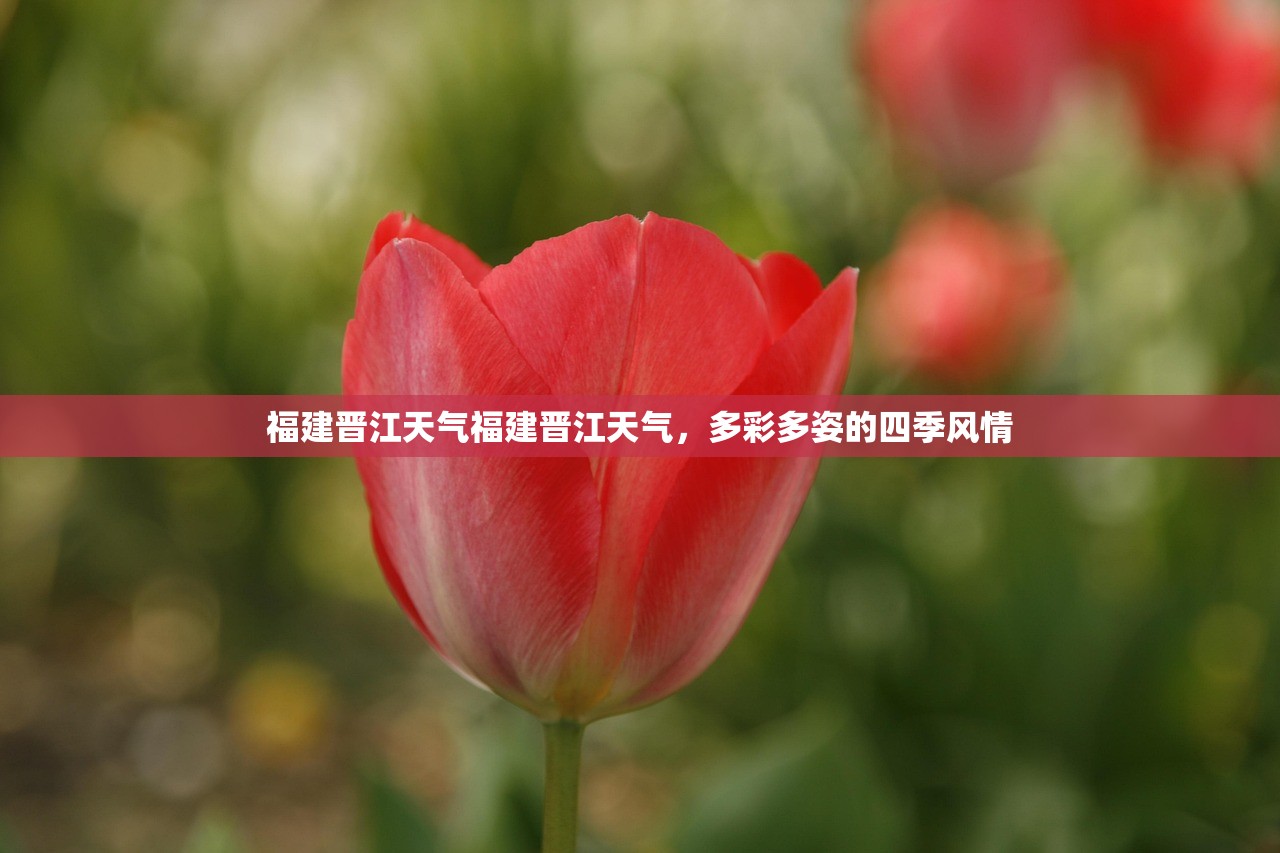 福建晋江天气福建晋江天气，多彩多姿的四季风情  第1张