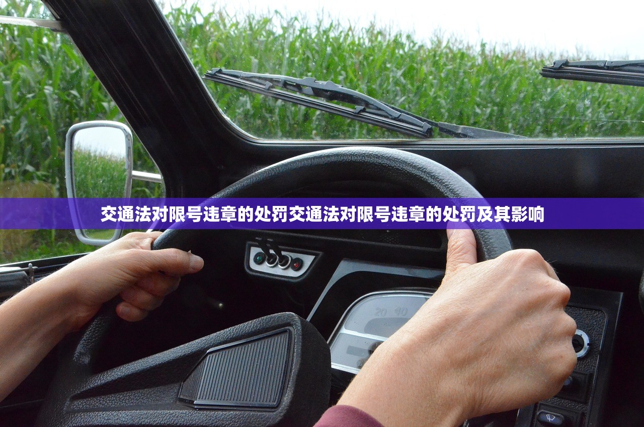 交通法对限号违章的处罚交通法对限号违章的处罚及其影响  第1张