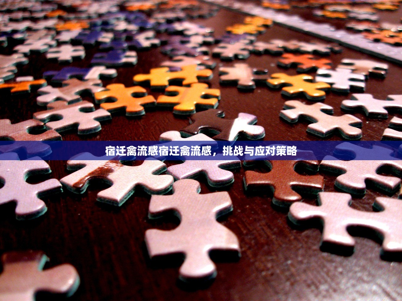 宿迁禽流感宿迁禽流感，挑战与应对策略  第1张