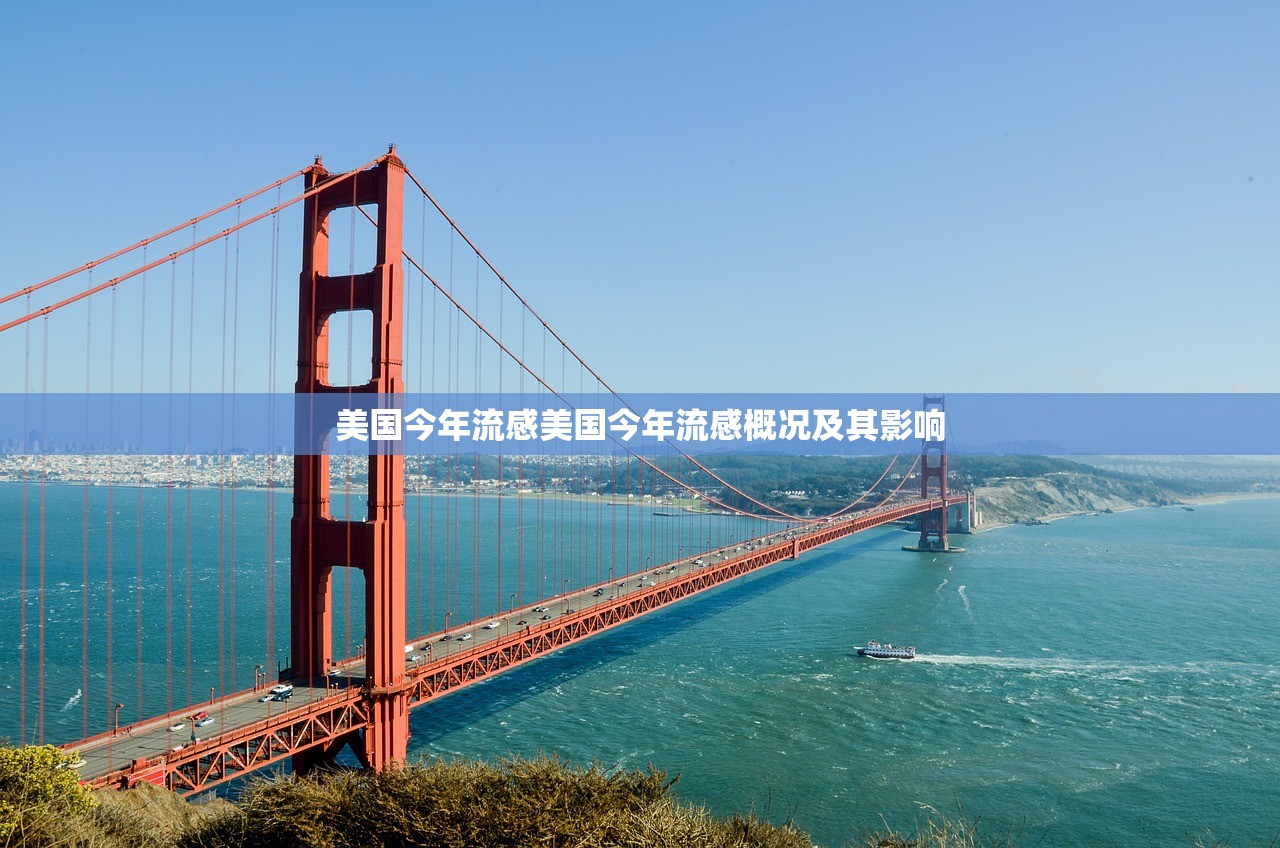 美国今年流感美国今年流感概况及其影响  第1张