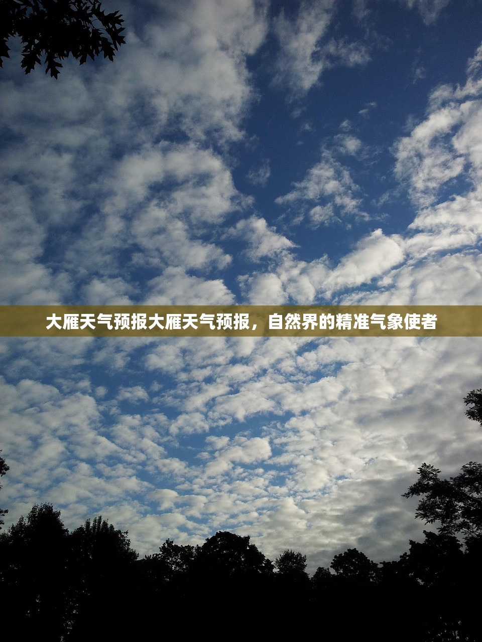 大雁天气预报大雁天气预报，自然界的精准气象使者  第1张