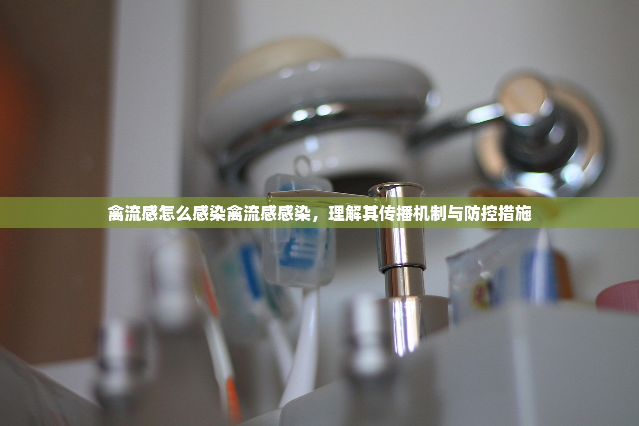 禽流感怎么感染禽流感感染，理解其传播机制与防控措施  第1张