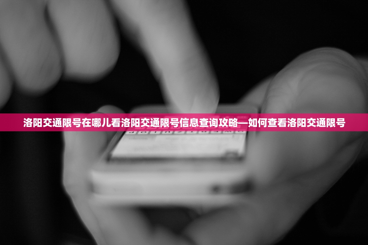 洛阳交通限号在哪儿看洛阳交通限号信息查询攻略—如何查看洛阳交通限号  第1张