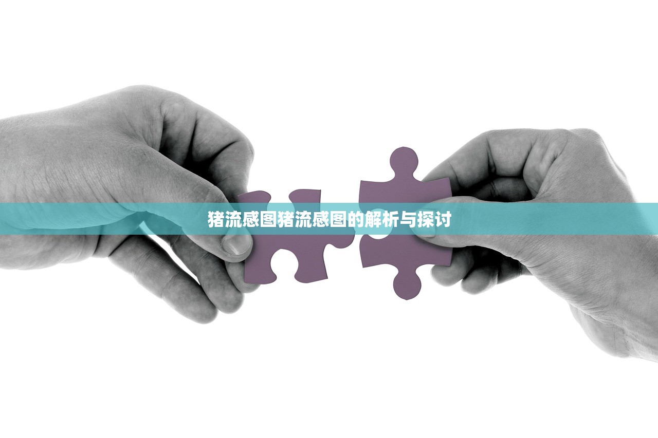猪流感图猪流感图的解析与探讨  第1张