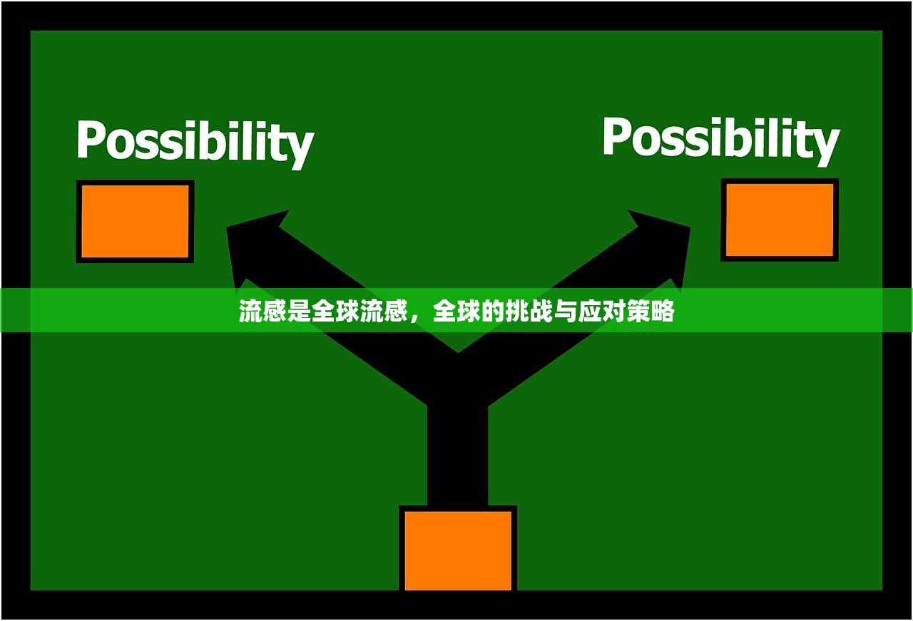 流感是全球流感，全球的挑战与应对策略  第1张