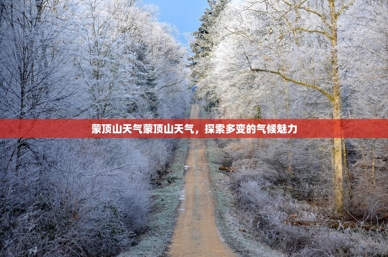 蒙顶山天气蒙顶山天气，探索多变的气候魅力  第1张