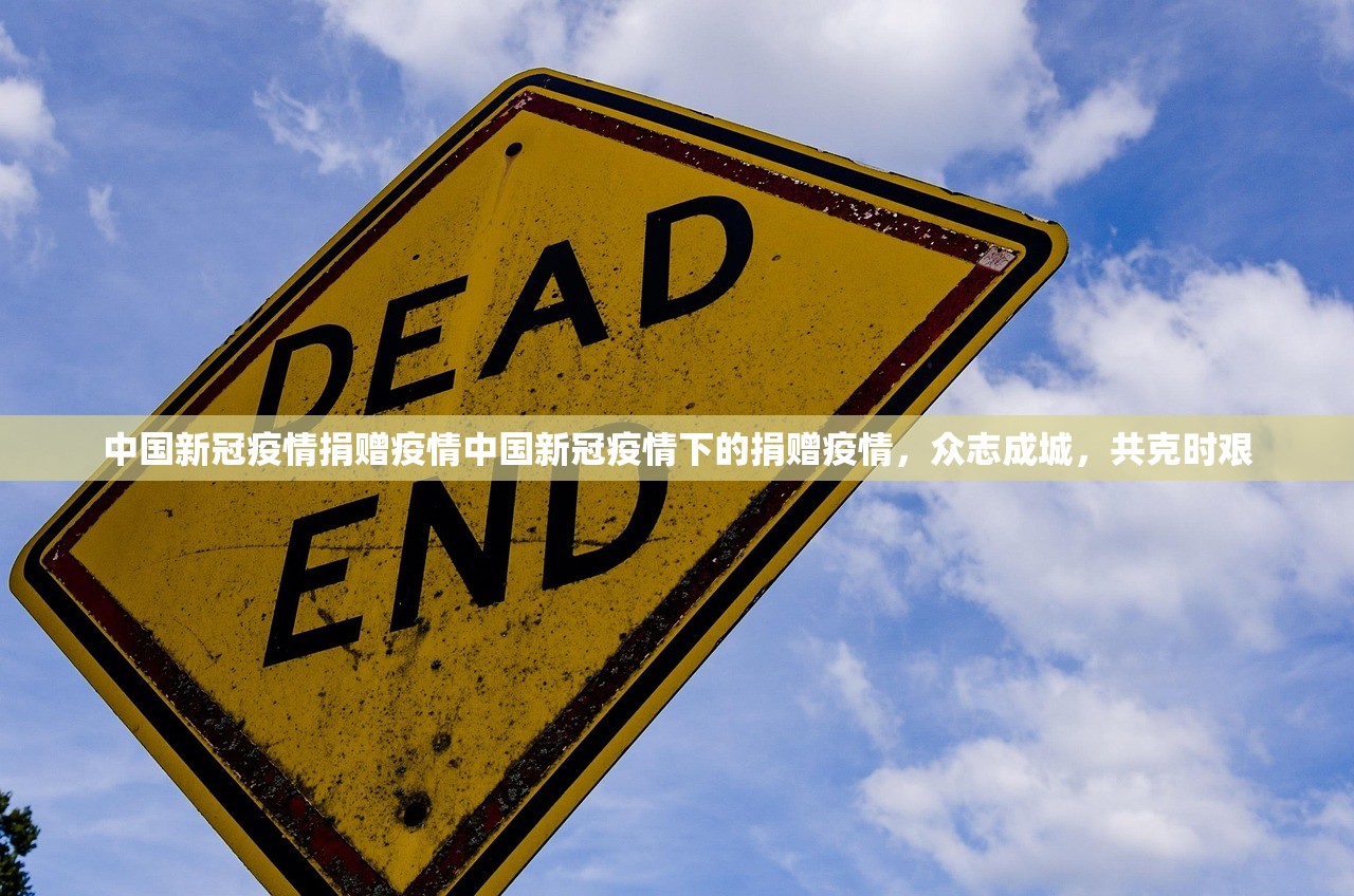 中国新冠疫情捐赠疫情中国新冠疫情下的捐赠疫情，众志成城，共克时艰  第1张