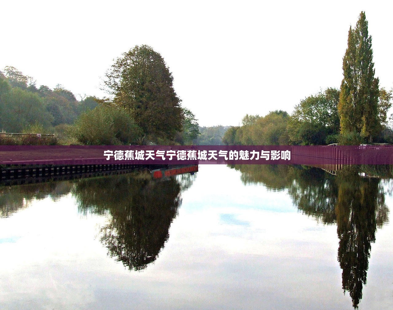 宁德蕉城天气宁德蕉城天气的魅力与影响  第1张