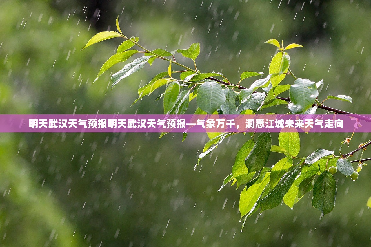 明天武汉天气预报明天武汉天气预报—气象万千，洞悉江城未来天气走向  第1张
