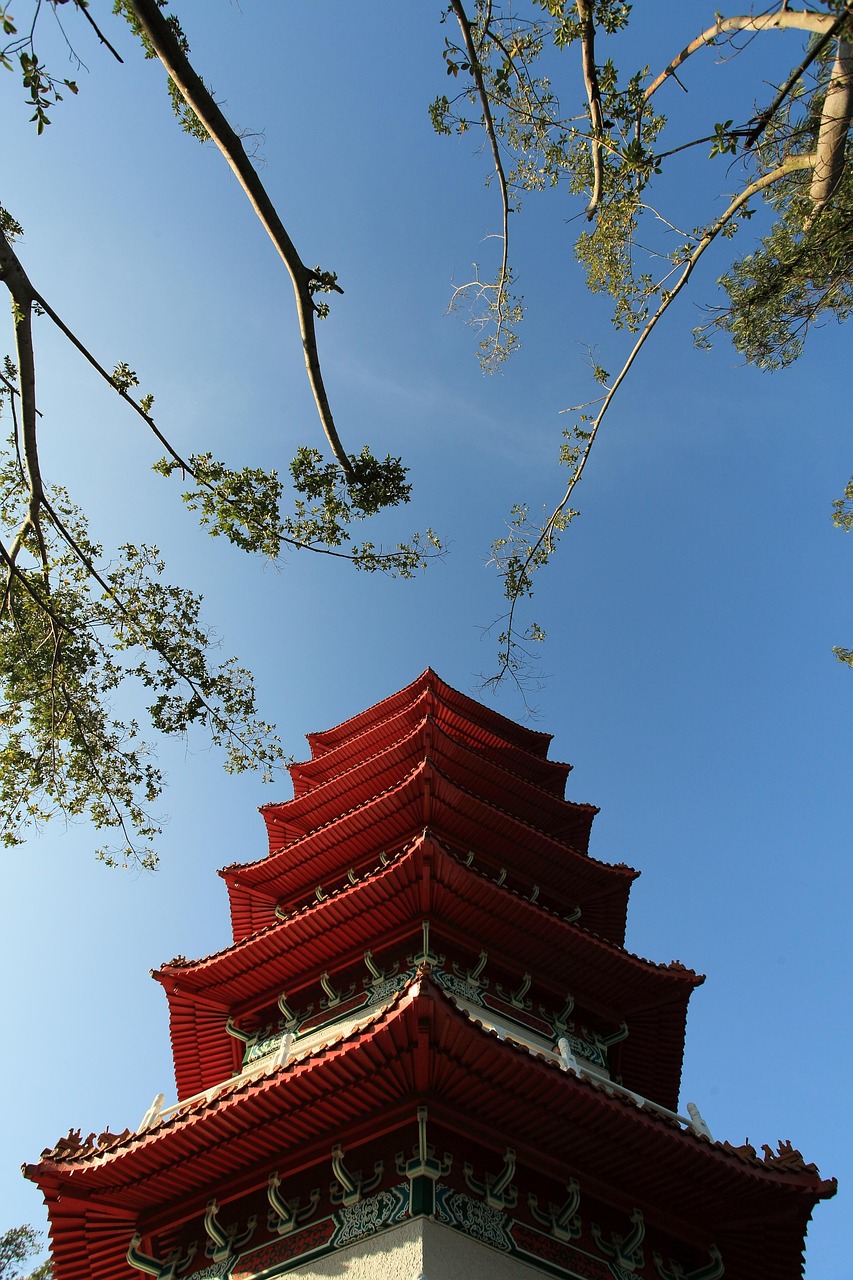 虎丘村疫情虎丘村的疫情挑战与希望之光  第2张