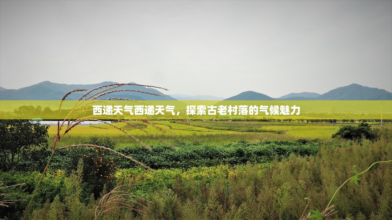 西递天气西递天气，探索古老村落的气候魅力  第1张