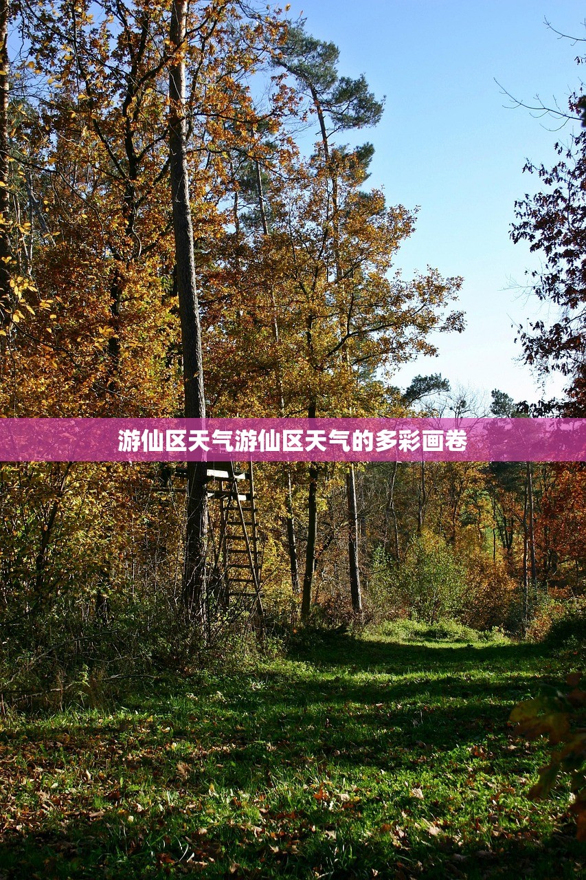 游仙区天气游仙区天气的多彩画卷  第1张