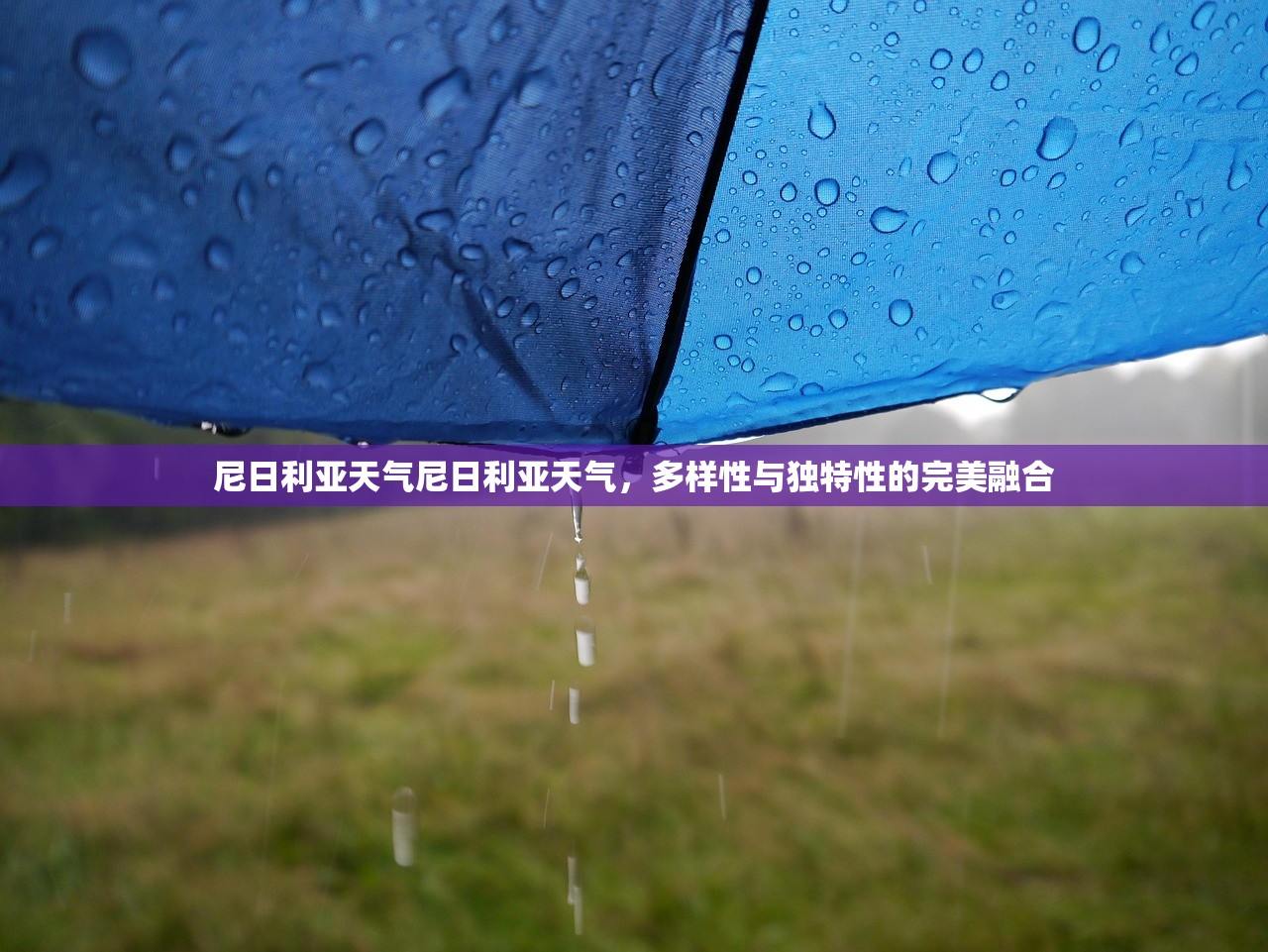 尼日利亚天气尼日利亚天气，多样性与独特性的完美融合  第1张