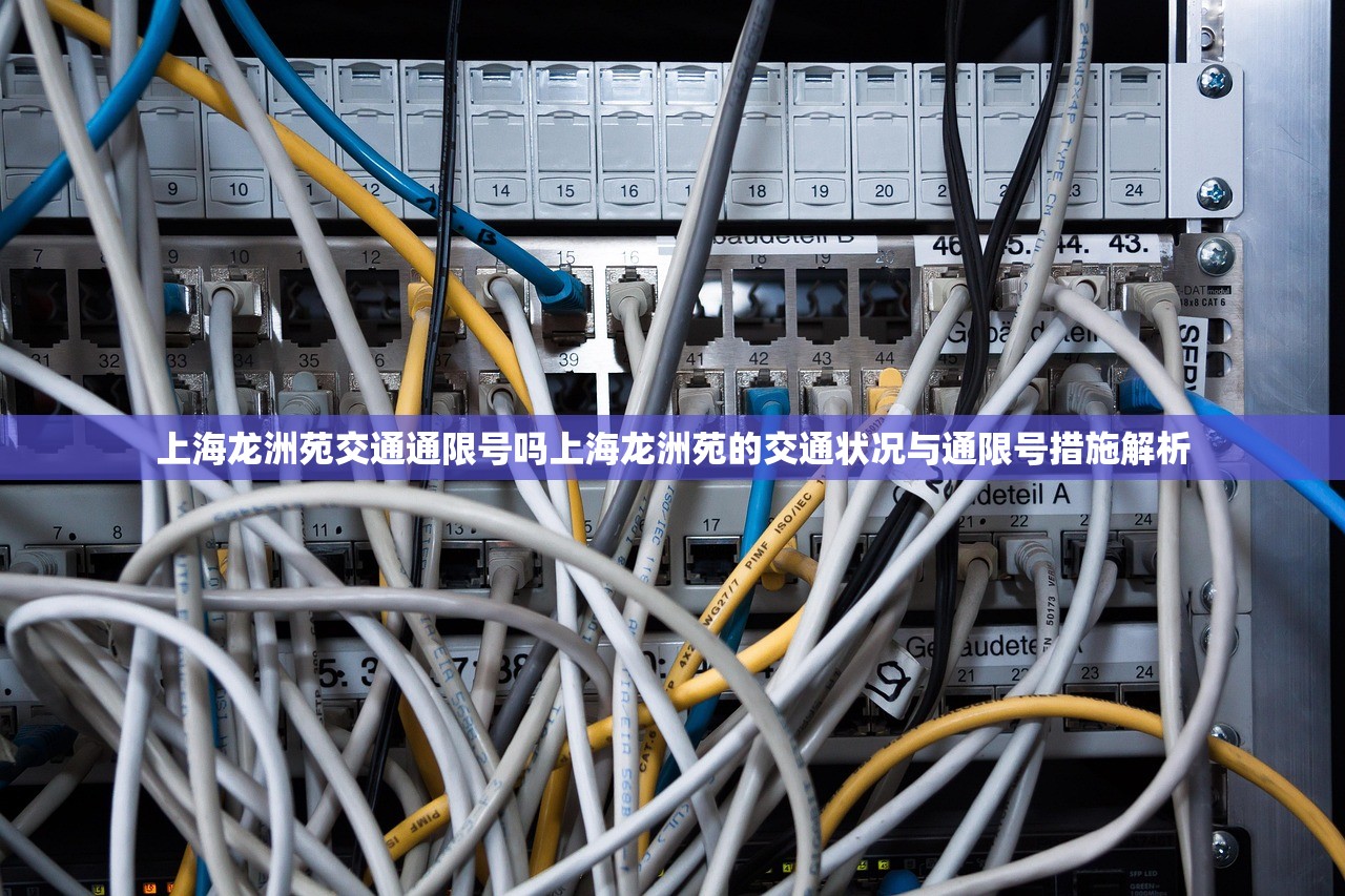 上海龙洲苑交通通限号吗上海龙洲苑的交通状况与通限号措施解析  第1张