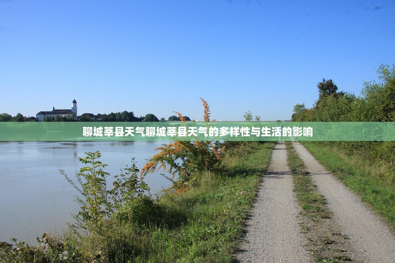 聊城莘县天气聊城莘县天气的多样性与生活的影响  第1张