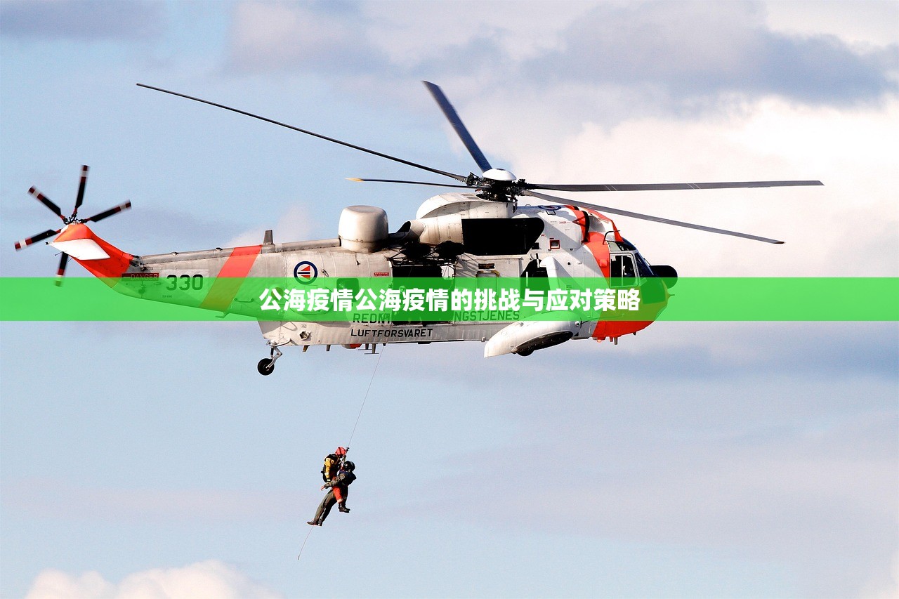 公海疫情公海疫情的挑战与应对策略  第1张