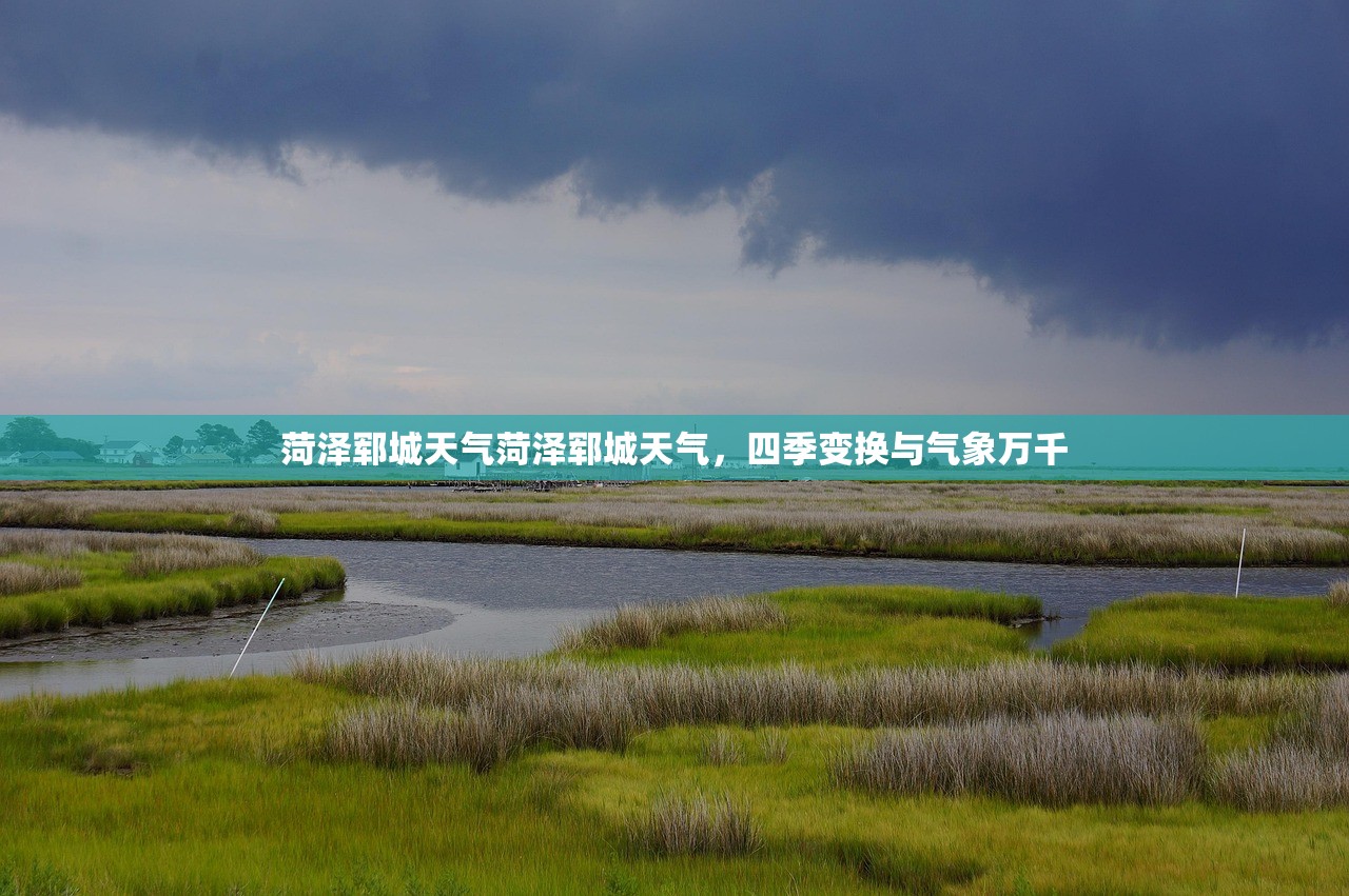 菏泽郓城天气菏泽郓城天气，四季变换与气象万千  第1张