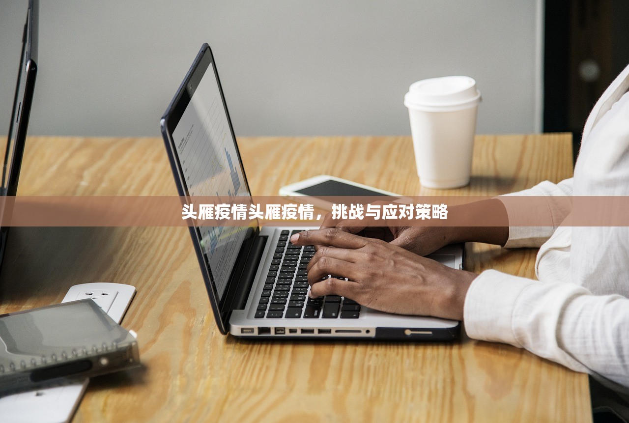 头雁疫情头雁疫情，挑战与应对策略  第1张