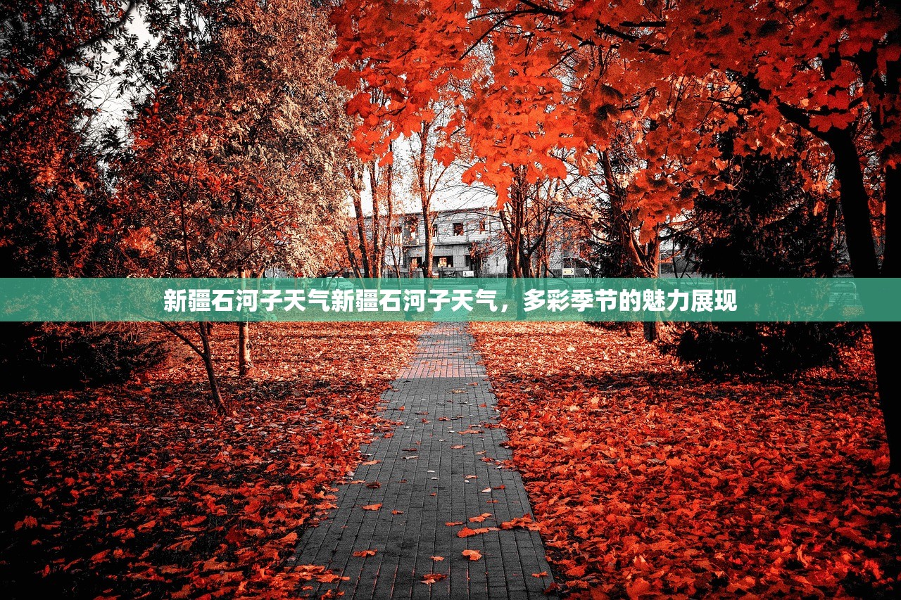 新疆石河子天气新疆石河子天气，多彩季节的魅力展现  第1张